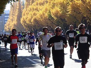 2013年ＪＢＭＡ神宮外苑ロードレースの模様