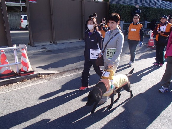 ウォーキングの部スタート直前風景。