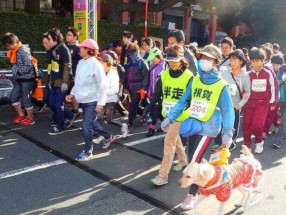 ウォークの部スタート風景です（先頭に盲導犬と一緒の女性選手が歩いています）