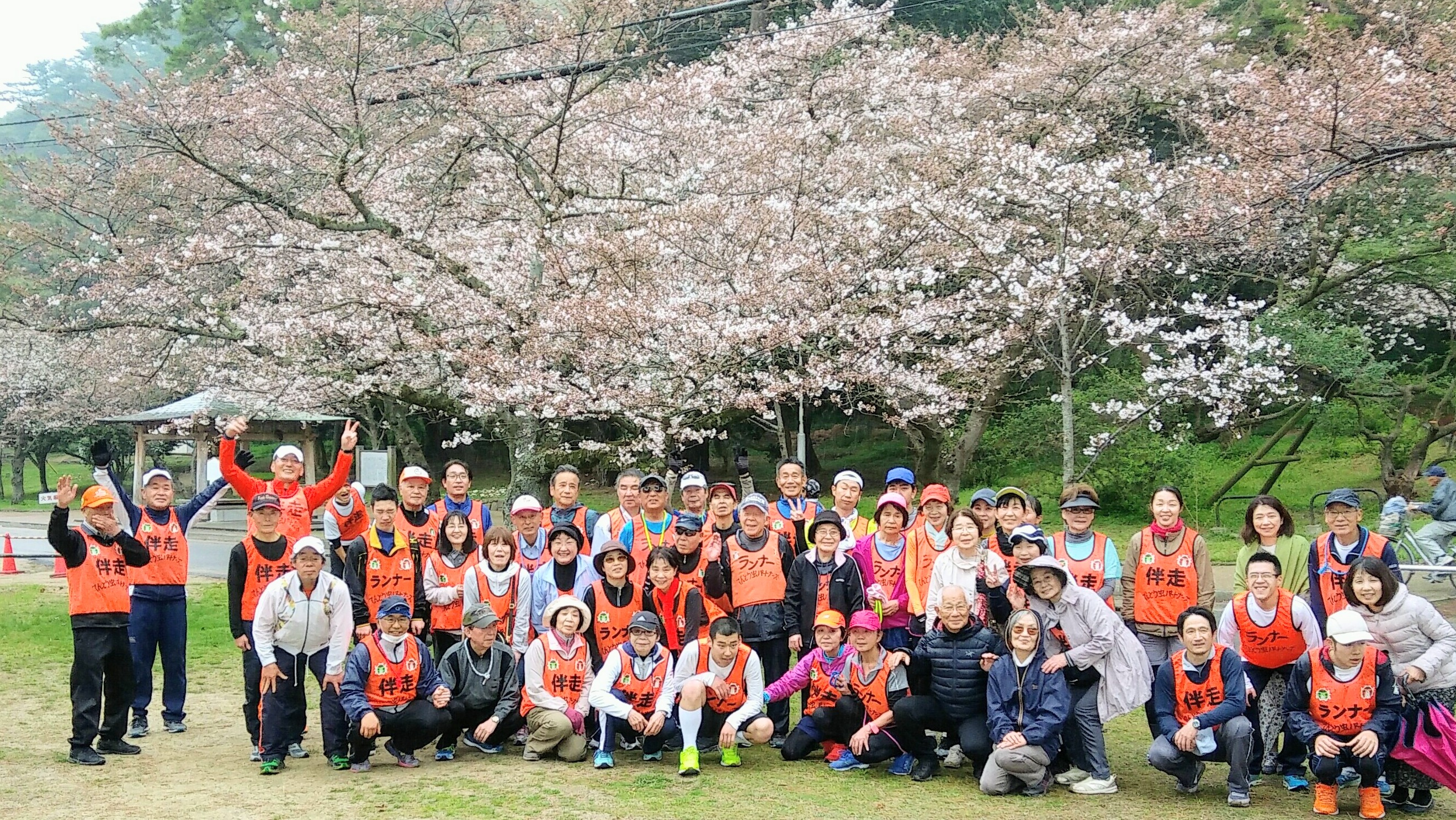 てんとう虫パートナーズの写真